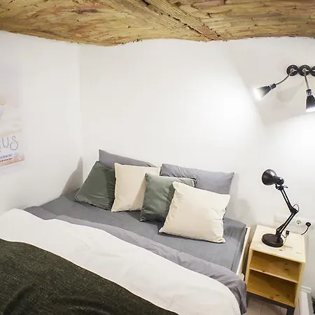 Designer Loft At The Great Synagogue Budapesta