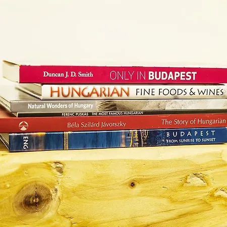 Apartament Designer Loft At The Great Synagogue *